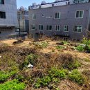 리치탑부동산중개법인주식회사 이미지