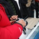 경기관상어 이미지