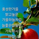여우사람 이미지