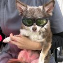 소담동물병원 이미지