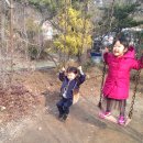 해뜰탁구장