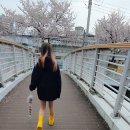 계절의 인사