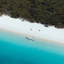 비자농장 이미지