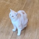 카페 커피캣 이미지