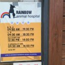 레인보우 동물병원 이미지