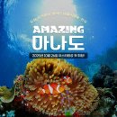 신규취항 인도네시아 마나도 3박5일(노쇼핑,노옵션)/11.13,(목)~11.17,(월) 이미지