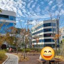 GS25이기대점 이미지