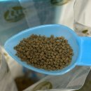 오션 뉴트리션 | 해수어 사료 반응 좋은 펠렛 먹이 오션프리 프로마린 후기