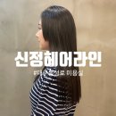 신정헤어라인2 이미지