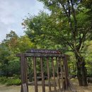 삼척 활기치유의숲, 아쉬움 속에서도 빛난 족욕 힐링 후기