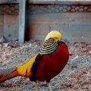 포니랜드 이미지