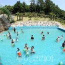 강진-19 이미지