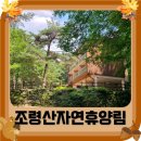 연풍면사무소 | 괴산 조령산자연휴양림 세 자매 여행 그리고 수영장 이용 후기