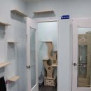 드림24동물병원 이미지