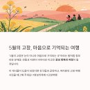 고창시장 입구 | 5월에 꼭 가봐야 할 고창 청보리밭 축제 감성 여행 가이드