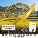 행정사 사무소 테미스(Themis) 이미지