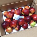 원씨네농장 이미지