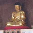 진주 연화사 목조 아미타여래좌상 이미지