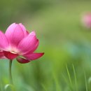 회남면 법수리마을 이미지