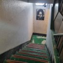 제주라듸오 | [ 서귀포시 표선면 / 혼술바 ] 혼술하기 좋은 표선술집 '제주라듸오' 방문후기