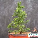 비학농장 이미지