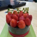 투썸플레이스굽은다리역점 | 🍰 [내돈내산] 투썸플레이스 ‘두초생’ 솔직 후기! 칼로리 정보까지 총정리 💚