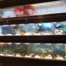 삼바리재송점 이미지