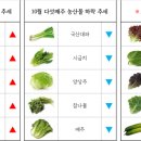 부산농산 네이버블로그