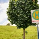 버스정류장(버스터미널 맞은편) 이미지