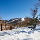 변산반도국립공원 내변산 관음봉 100대명산인증 가족 등산기 이미지