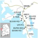 충남 태안여행 청산수목원(한겨레신문) 이미지