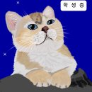 슐리 이미지