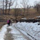 태백농장 이미지