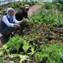 한몽농장 이미지