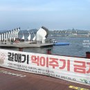 북항 노을공원 일대 이미지