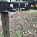 자연숲족욕
