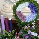 지용약국 이미지