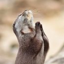 창원파티마병원 | 창원파티마병원 성형외과 이마 지방종 제거 후기｜수술 과정·흉터·비용