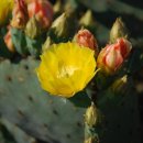 남해농장 이미지