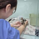 인터메디칼 | 울산고양이병원 아이와 보호자님 모두 안심하고 방문할 수 있는 곳이 되기 위해,