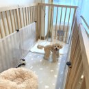 홍글몽글 이미지