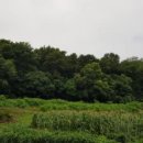 안말목장 이미지