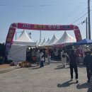 서천동백꽃쭈꾸미축제 일정 먹거리 부스 추천 가격 후기
