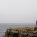 남자는배여자는항구 이미지