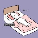 놀러와 PC방 | 🍃12월 일상🍃 - 올해도 나의 해였다.