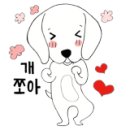 디스크독연구소 이미지