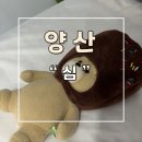 세븐일레븐 양산물금월드타워점 | 양산 브라질리언 왁싱 심 후기