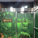 구미 아이랑 실내가볼만한곳 대구근교 동물 파충류 체험 인투더정글 주차 시간표
