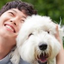 펠리스뻬로 이미지