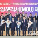 연씨앤피
